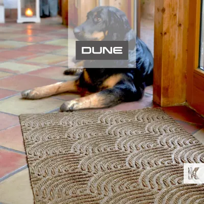 DUNE
