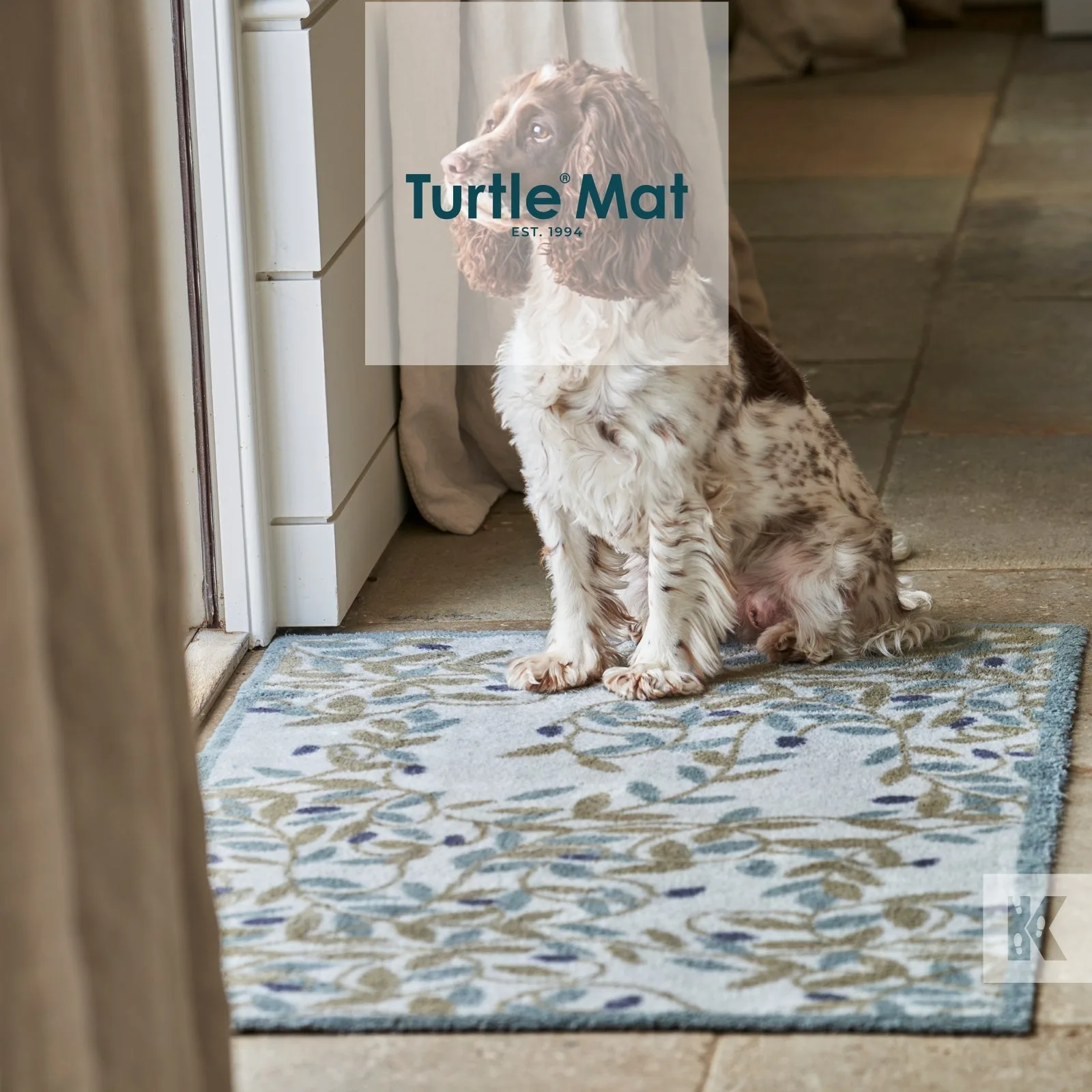 Turtle Mat