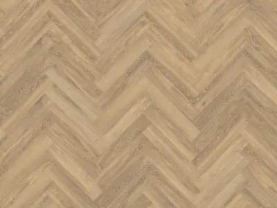 Authentic Parva Oak XL Piedmont