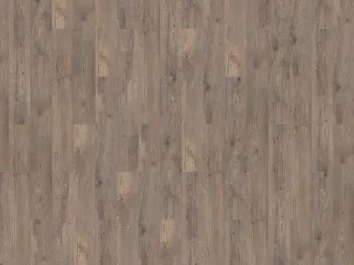 Authentic Plank Shade
