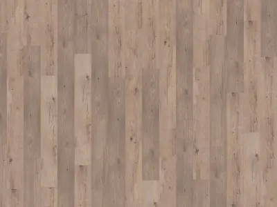 Authentic Plank Ferne