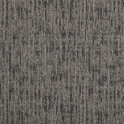 DSGN Absolute DSGN Absolute 141