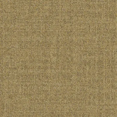 Dune Dune 216