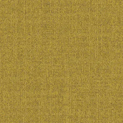 Dune Dune 224