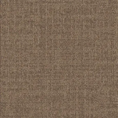 Dune Dune 831