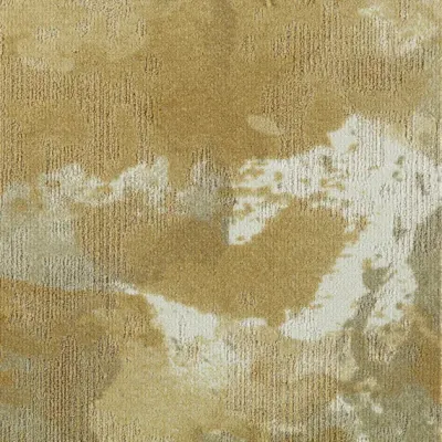 Fluid& Fluid& 224