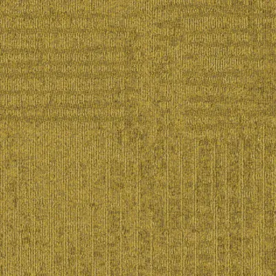 Meadow Meadow 224