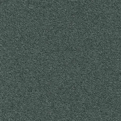Millennium Nxtgen Millennium Nxtgen 579