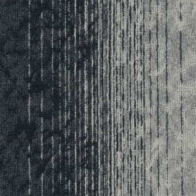 Motion