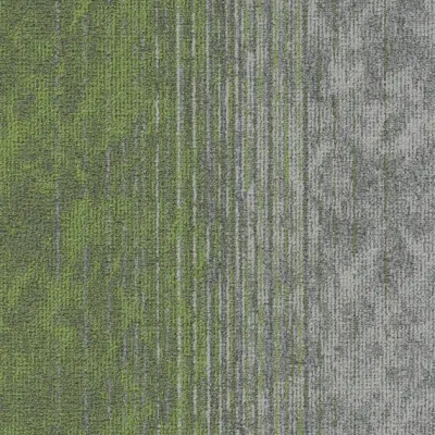 Motion