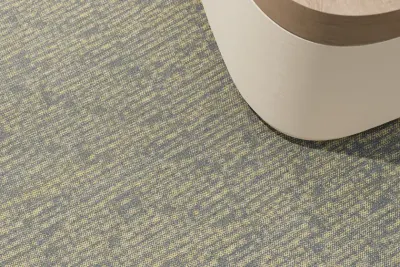 Ray