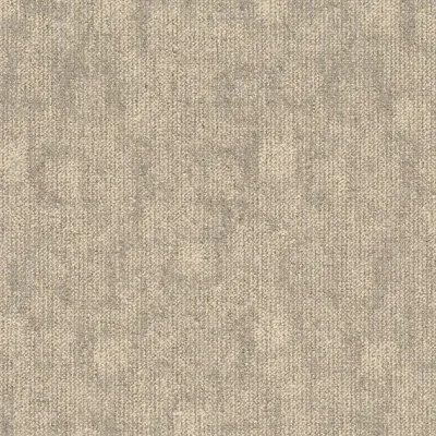 Trace Trace 106