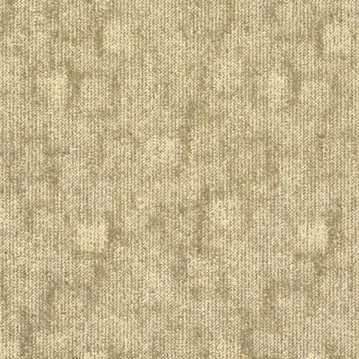 Trace Trace 238