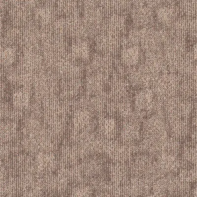 Trace Trace 344