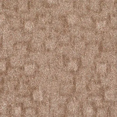 Trace Trace 356
