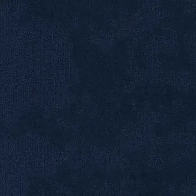 Velvet&