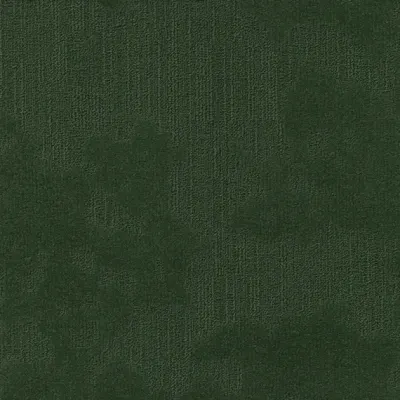 Velvet&