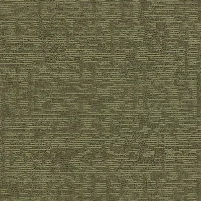 Hornbeam Broadleaf Oak