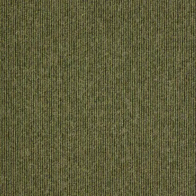 Macaw Stripe Lime / Quartz