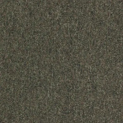 Workspace Loop Pampas