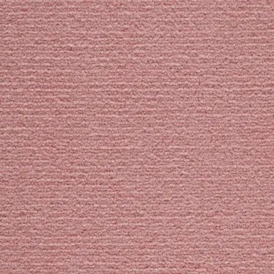 Radici Abetone Rosa