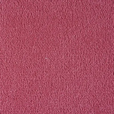 Radici Admiral Blush