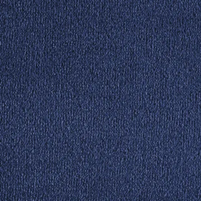 Radici Divina Navy