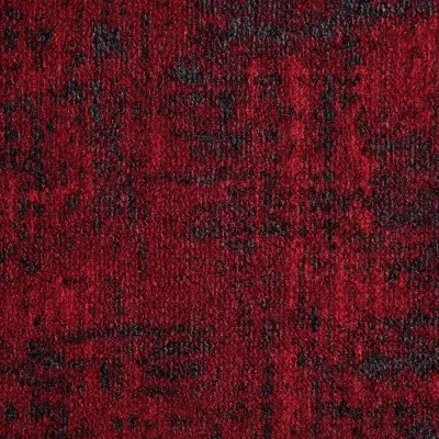 Radici Leone Ruby