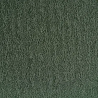 Radici Nexus Lichene