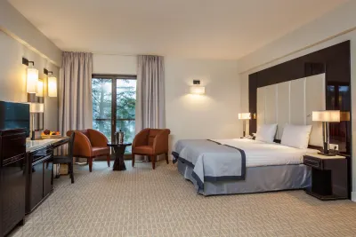 Radici Room decor