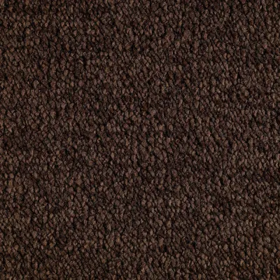 Radici Trotter Camoscio