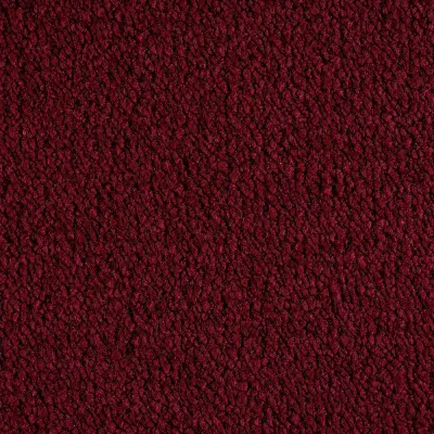 Radici Trotter Ribes