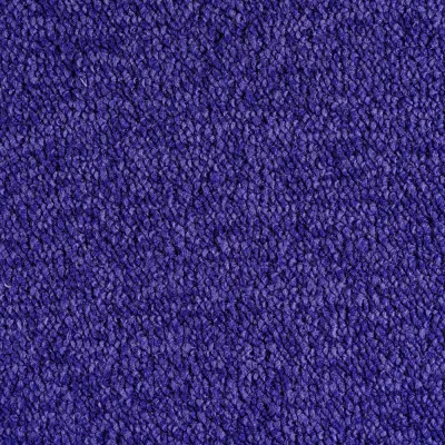 Radici Trotter Viola