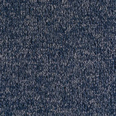 Radici Trotter Pietra