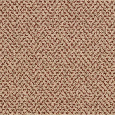 Radici Verona Leopardo
