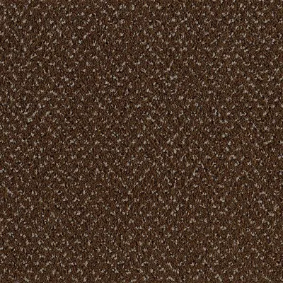 Radici Verona Timon
