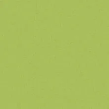 ECLIPSE PREMIUM Eclipse LIME GREEN 0731