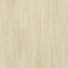 Vylon Plus Vylon CHAMPAGNE 0595