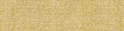 Meditation Mindful-Path-5685