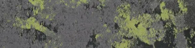 Mundi Mundi MISTY 40244-5