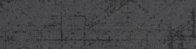 Spectrum Ray-Path-1-000