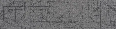 Spectrum Ray-Path-2-000