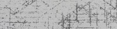 Spectrum Ray-Path-4-000