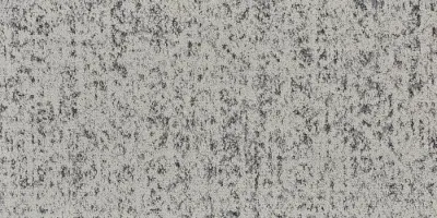Urban Forest Root-04