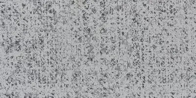 Urban Forest Root-07