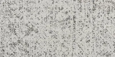 Urban Forest Root-11
