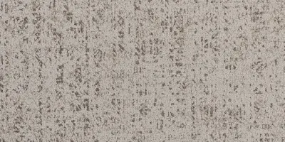 Urban Forest Root-12